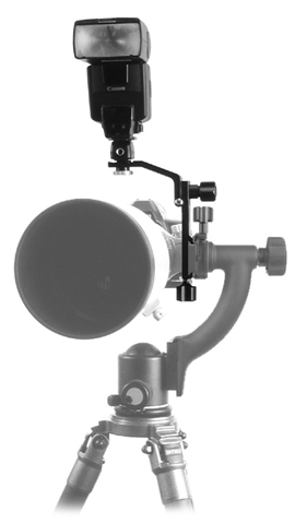 Wimberley F-6 Sidekick Bracket mounted on Sidekick in BH-300 ball head