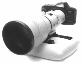 Camera with long lens stabilized on bean bag using Wimberley Lens Plate with 2 Wimberley M-1 Quick Release Arms